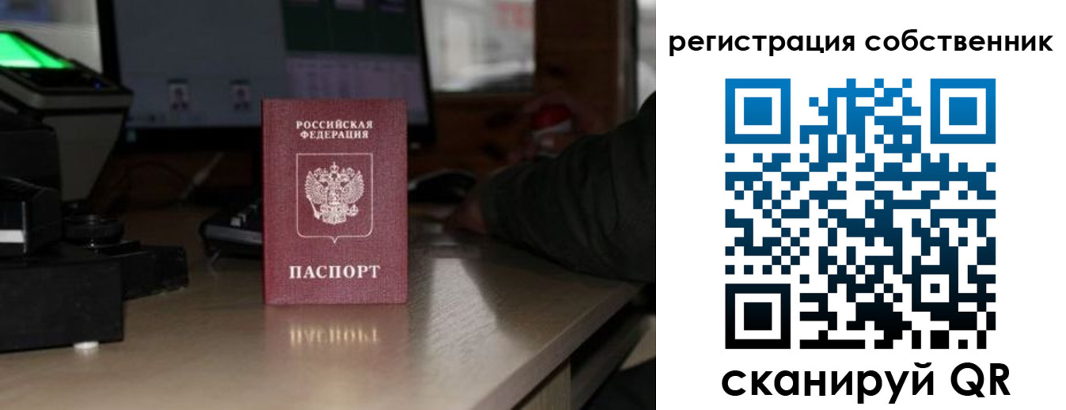прописка поиск в Липецкая области